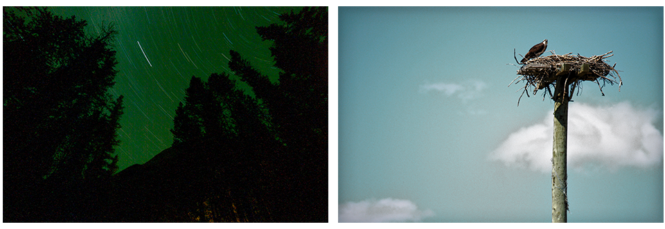 Slide 5